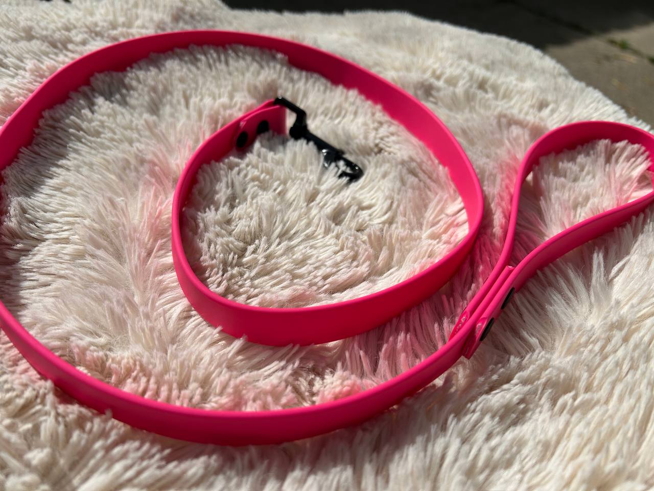 Leash